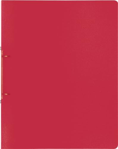 10X BRUNNEN Ringbuch A4 FACT! 25mm 2Rg red