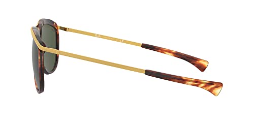 Ray-Ban RB2219 Olympian Aviator Sunglasses4