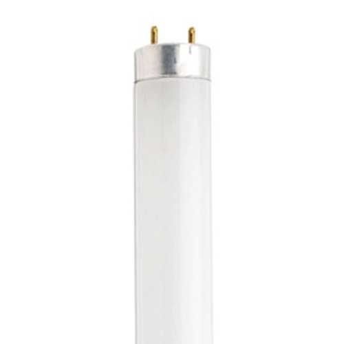 Eiko F14T8/D Daylight Fluorescent Lamp – 14W 6500K Bi-Pin T8 Bulb, 10298, Bright White Light For General Lighting