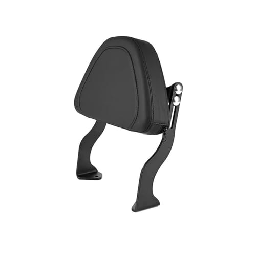 Coussin dossier passager arrière en PU pour rack de RA1250S 21-22