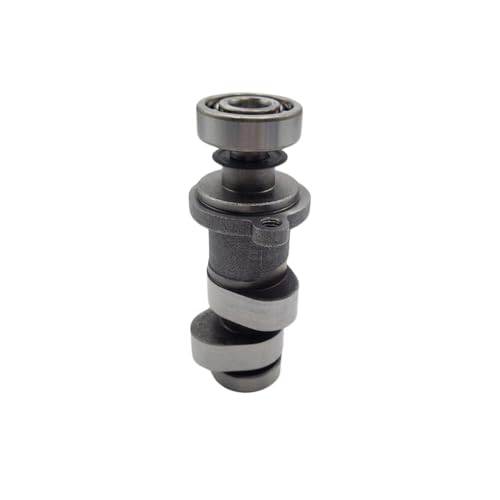 Arbre à cames moto 4T CBS300 ZS174MN-3 pour pièces de rechange Avantis Motoland