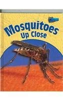 Mosquitoes Up Close 1410911489 Book Cover