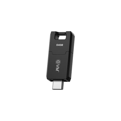 Image of EVM EnC 256GB Type-C USB 3.2 Gen 1 Flash Drive | Impressive 120MB /s Read| Sleek Compact Modern Design | Integrated Convenient Key Loop | Versatile Portable Storage | 10 Years Warranty (ENC /256GB)