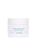 Mini NIACINAMIDE CUCUMBER AQUA GEL CREAM