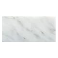 Tenedos Carrara Italian Bianco Carrara Greyish Marble 3x6 Subway Tile for Floor Wall Kitchen Backsplash Bathroom Shower Fireplace Accent Decor – 1 Piece