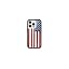 American Flag
