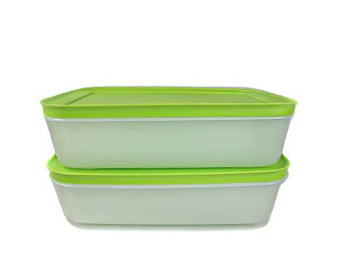 TUPPERWARE Freezer Containers 1.0 L Green/White Flat (2) Ice Crystal Ice Crystal