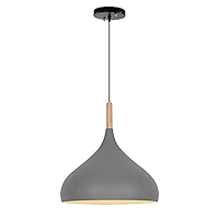 招き猫　Sunrays×JOURNAL STANDARD】 Amazon.com: JXINGZI Pendant Ceiling Light E27 Base Pendant