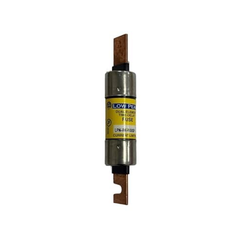 Fusible LPN-RK-100SP double déclenchement 100 A évite les coupures intempestives