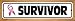 SMART BLONDE Survivor Pink Ribbon Breast Cancer Novelty Wood Mounted Small Metal Street Sign WB-K-1302