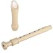 Soprano Recorder With Baroque Fingering In C Key, German-Style Plastic Design, Comes With Storage Bag, Ideal For Beginners And Adults