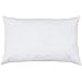 Riva Home Polyester Cushion Pad 40X60, Weiß, 40x60cm