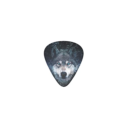 IIJ~̕ fUCM^[sbN guitar pick eBAhbv^ GLM^[/AR[XeBbNM^[/NVbNM^[/x[X̗KɍœK12Zbg