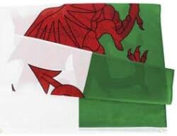 Stormflag Welsh flag Wales Flags UV Fade Resistant 3x5ft Welsh Wales Flag 90cmx150cm Polyester 90g/m2 with Two Eyelets