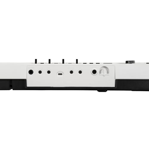 Korg Liano LIVE! live streaming piano by KORG - Image 3