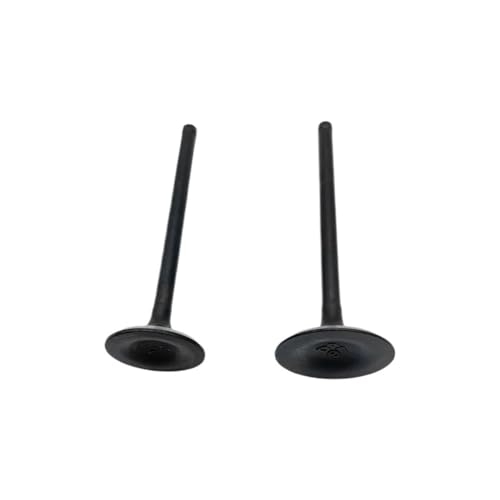 Balancines de escape y admisión compatibles con Zongshen PR300 ZS172FMM-5 5