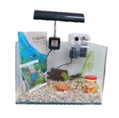 Acuario Completo C/Filtro Exter 11 L