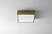 Oxygen Lighting Oxygen 32-612-40 Transitional LED Ceiling Mount from Pyxis Collection Antique Finish, Aged Brass