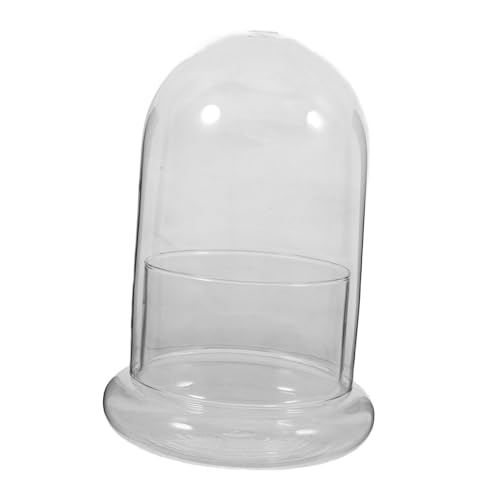 TOYANDONA Vase Transparent pour Plantes Et pour Terrarium Décoration De Bureau Et Jardin Conteneur à Fleurs Présentation Élégante des Plantes