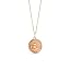 Rose Gold/35cm Chain