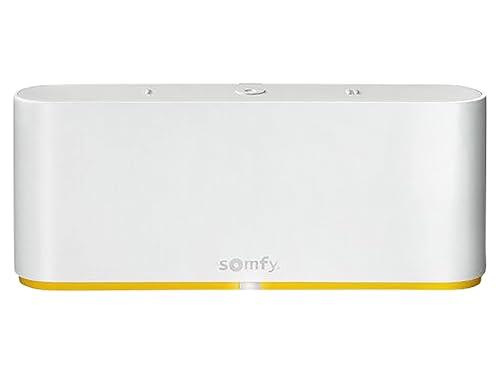 Somfy 1870594 - Tahoma Switch - Commande Intelligente pour centraliser