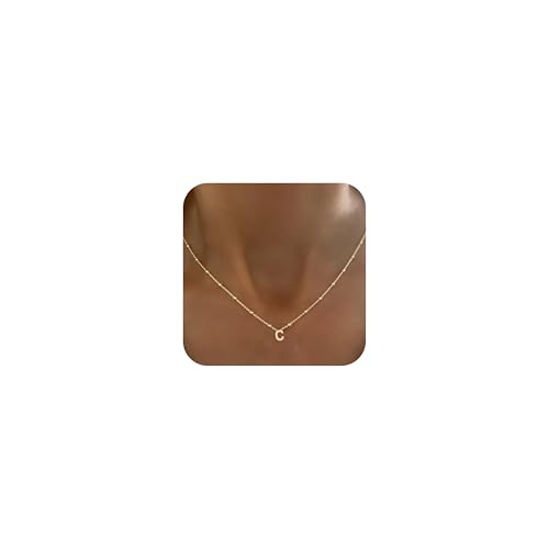 GRCLD Initial Necklaces for Women Dainty 14k Gold Plated Letter Necklace Trendy A-Z Pendant Choker Necklace Cute Name Personalized Fashion Jewelry Gift for Women Her(C)