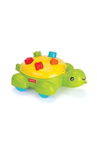Évitez l'ennui avec 8690089018045 DOLU1804 le trieur tortue qui occupe bébé