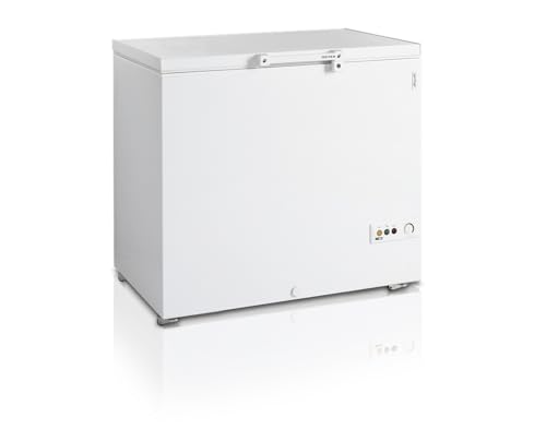 Congélateur Coffre FR305 - TEFCOLD