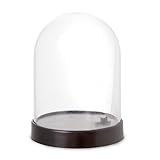 Darice®Empty Plastic DIY Water Globe Snow Globe Snow Dome Kit 2.6 x 3.5 inch 1 Piece