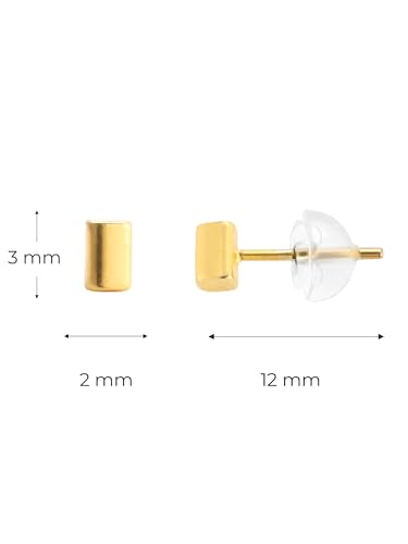 Image of Solid 925 Sterling Silver Stud Earrings for Women & Men, Hypoallergenic 18K Gold Plated & Silver Small Studs, Minimalist Elegant Earrings for Birthday, Party, Daily Gift