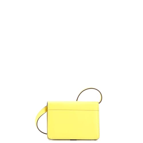 Pre-Loved Chien Card Holder with Strap Swift and Chevre Mysore, Jaune de Naples3