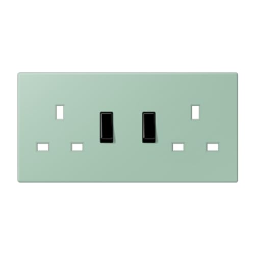 Prise BS LC32041 JUNG double bloc électrique encastrable