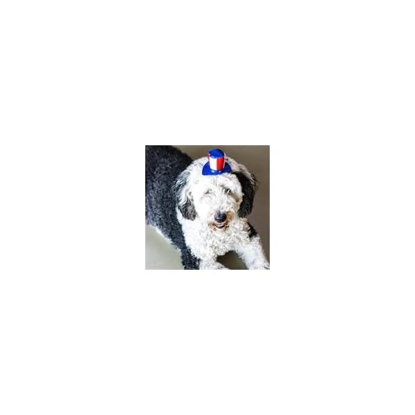 Midlee uncle sam 4th of july hat for large dogs headband- captain halloween costume - image 7