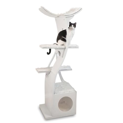 [^XLbg yRefined Felinez Lbg^[ t@ChtB[C [^X Lbg^[ zCg ؐ u^ p[c 175cm  CeA LbgnEX Lbgxbh W]