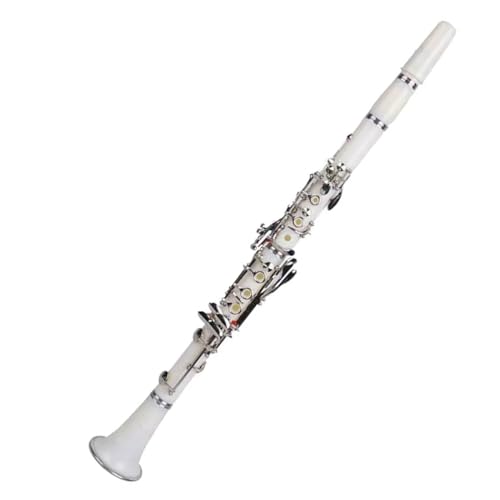 17{^BB`[jOGNgbNEbh{fBNlbg͏S҂ɓK؊Ǌył Nlbgy