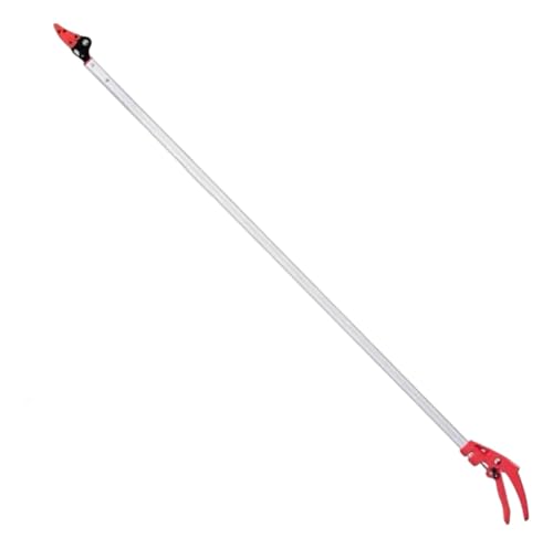 }؂oT~ ͂ Lk} ͂ mRM t[csbJ[ ʕ `_ `bN Lk|[ʕEݎc[ (1.5[giLksj)