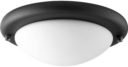 Quorum 1141-869 Transitional LED Fan Light Kit in Bronze/Dark Finish,