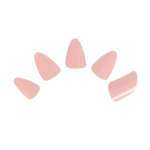 BELLIFFY 5 spiClC  splCJo[ M^[pTsbN [gANZT[ lCANZT[ ⵎw y퉉tpANZT[ [glCveN^[ sN