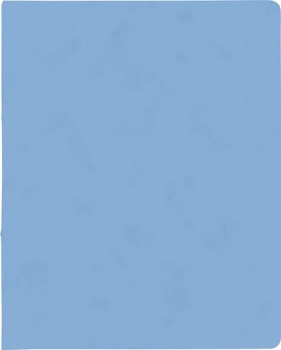 10X BRUNNEN Ringbuch A4 FACT!plus 2R 15mm h.bl