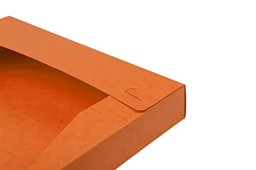 Exacompta 14017H 10er Pack Premium Sammelbox mit Gummizug 40 mm breit aus extra starkem Colorspan-Karton mit Rückenschild für DIN A4 Archivbox Heftbox Dokumentenbox Zeichenbox Sammelmappe orange