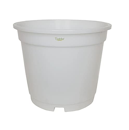 Image of Wonderland 8 inch Set of 3 Big Planter (Plastic Pots for Home Plants) (White)