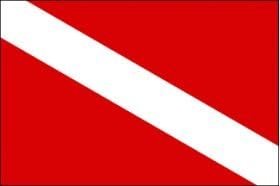 Annin Skin Diver Flags, 20 x 30in skin diver flag nyl-glo