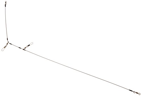 ?? Edison Dream Scales TL – 1000 – 1.8