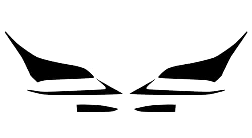 Rvinyl Headlight Protection Film Covers Compatible with Lexus NX 2015-2017 - Matte Smoke