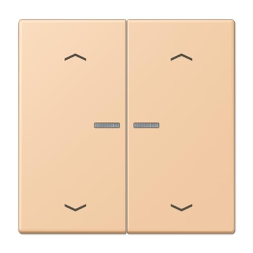 Enjoliveur touche F10 2 phases JUNG LC102KO5P237 bouton volet roulant LC32122