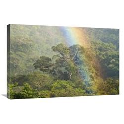 Steve Gettle Rainforest Canopy Art Print 20x30 in.