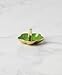 kate spade new york Make It Pop Metal Ring Dish, Green