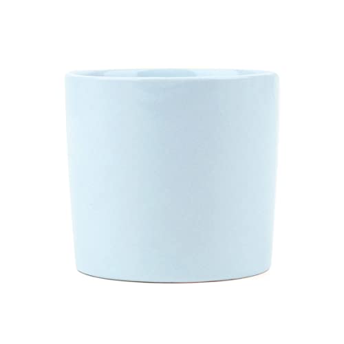 Haworthia Succulent With Small Modern Cylinder Pot | Mother's Day Gift | Succulents For Valentine | Gifts For Sale Gift For Plant Lovers For Men And Women (Haworthia + 3" Modern Cylinder Pot, Blue) #TOP1