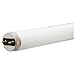 GE Lighting 45748 F17T8/SP41/ECO 17 Watt 2 Ft. T8 Linear Fluorescent Lamp 4100K[Min Qty: 24 ]