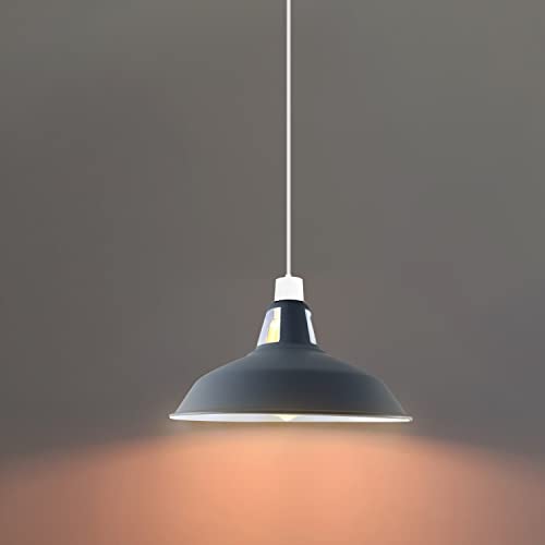 DC VOLTAGE Retro Modern Metal Lamp Shades Ceiling Light Shades, Vintage Industrial 30cm Easy Fit Country Style Bulb Guard - Image 2